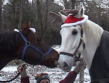 blanca and trav