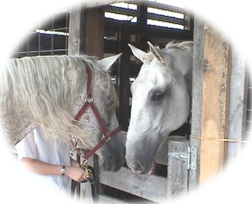 blanca and sycamore