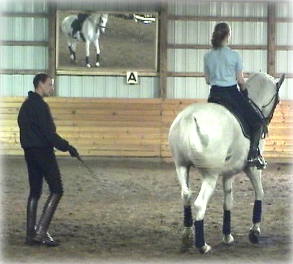 Herbert, Jorie and Bran working on piaffe