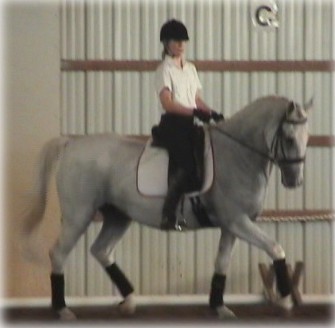 trot mikolka clinic